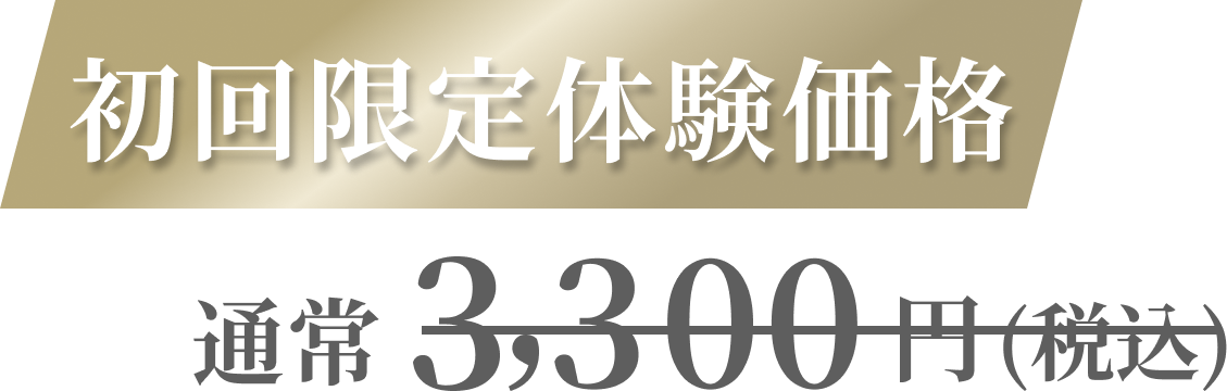 初回限定特別価格